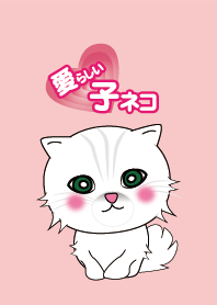 Adorable kitten
