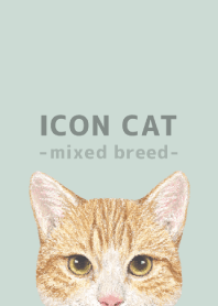 ICON CAT -Mixed breed cat- PASTEL GR/17