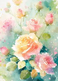 Beautiful rose flower(R4934)