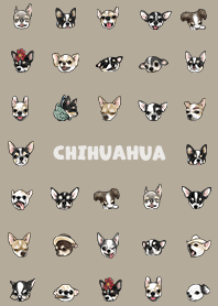 chihuahua2 - khaki