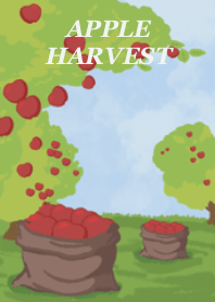 Bounty of Apples