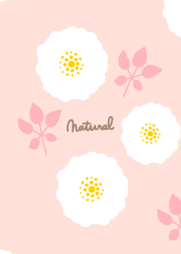 round white flowers leaves12 from Japan