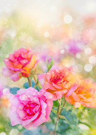 Beautiful rose flower(R1475)