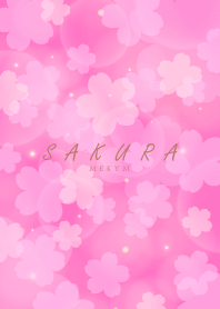 SAKURA -Cherry Blossoms- PINK 24