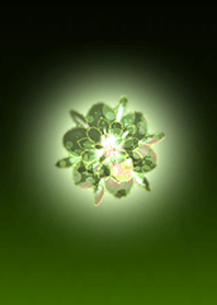 Winter Flower Light Green@Winter Feature