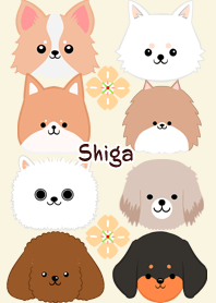 Shiga Scandinavian dog style3