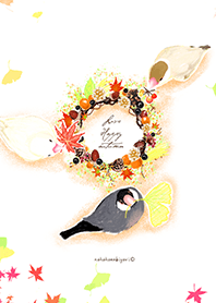 Fall of Java sparrow