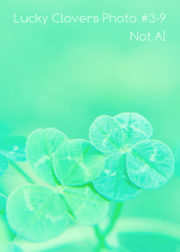 Lucky Clovers Photo #3-9 Not AI