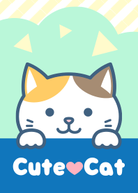 Cute cat(Calico cat)