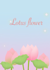 lotus flower cute