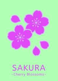 SAKURA -Cherry Blossom- 03