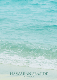 HAWAIIAN SEASIDE - HAWAII 28