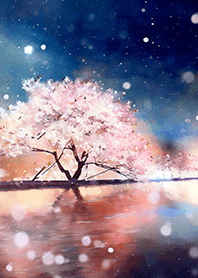 Beautiful night cherry blossoms#1995