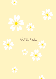 5 white petals
