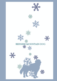 Bernese Mountain Dog and snow