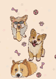 Corgis are cute