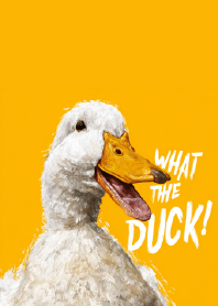 絶対的な驚き！クワッカーズ