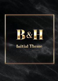 [ B&H ] Initial Theme  Gold Black