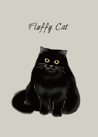 Fluffy black cat, long-haired breed