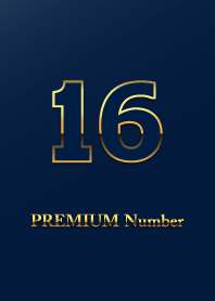 PREMIUM Number 16