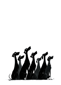 The Stylish Black Sighthound Pack