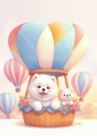 ซามอยด์ น่ารัก อ้วนกลม_2