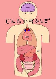 じんたいのふしぎ