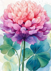 Colorful White Clover Vol.1