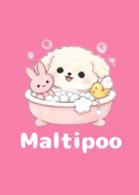 柔軟馬爾泰迪主題3 Pink 01