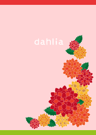 autumn dahlia on red