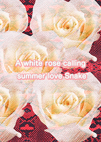 A white rose calling summer love Snake