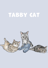 tabbycat5 / alice blue
