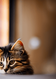 Nyanko Great Runaway#mabQAA214.