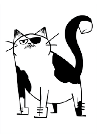 The Pirate King Cat