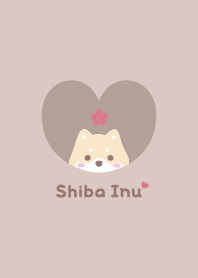 Shiba Inu2 Cherry blossoms - brown