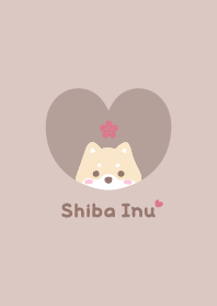 Shiba Inu2 Cherry blossoms / brown