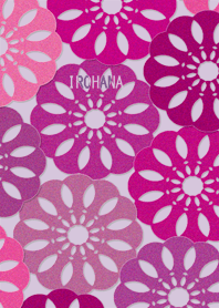 IROHANA PURPLE