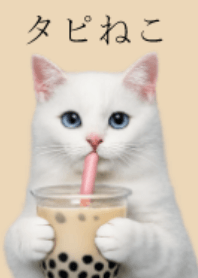 TAPIOCA CAT, LOVE CAT! 2