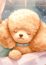 Good night with toy poodle