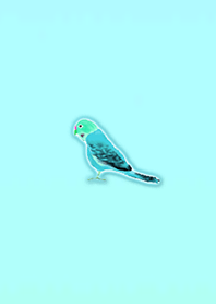 Simple lucky parakeet 3