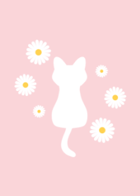 Daisy flowers and a cat