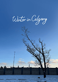 Winter in Calgary (7)