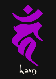 BONJI zodiac [haM] BLACK PURPLE (0677