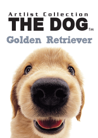 THE DOG Golden Retriever