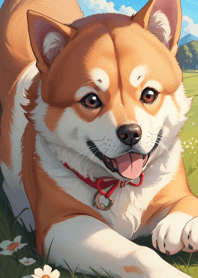 Shiba Inu yang tersenyum p2uB