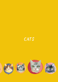 holiday cats on yellow