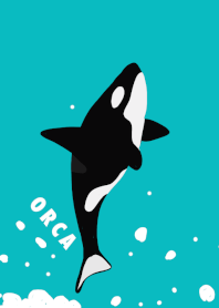 Orca sea