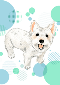 West Highland White Terrier by Ystudio