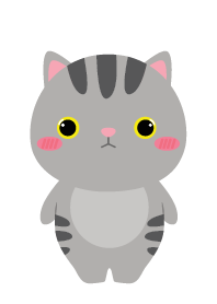 Face Gray Cat Theme