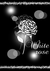 White rose